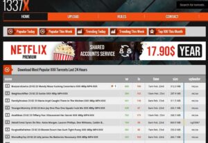 Using the best free porn torrents